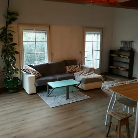 El Casot Alt Holiday home Mosset