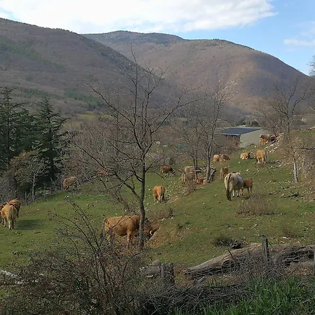 El Casot Alt * Mosset
