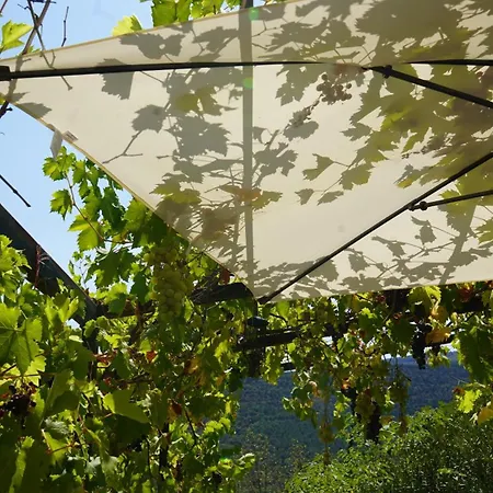 El Casot Alt Hébergement de vacances *